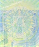 OFFENBARUNG - Wunder aus der Stille