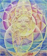 THANKS.....my ADI PARASHAKTI